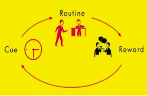 The Habit Loop